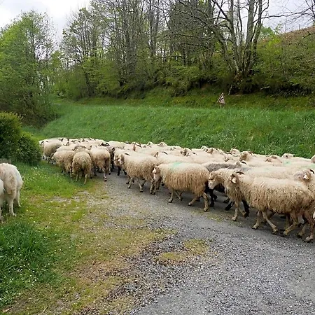Отель типа 