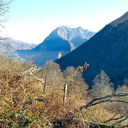Les 3 Baudets