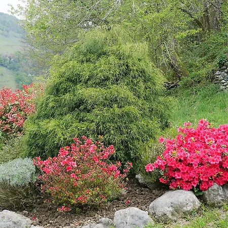Les 3 Baudets Alojamento de Acomodação e Pequeno-almoço 3*