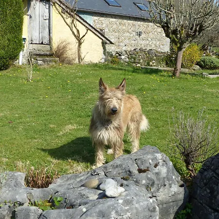 Bed and Breakfast Les 3 Baudets Issor