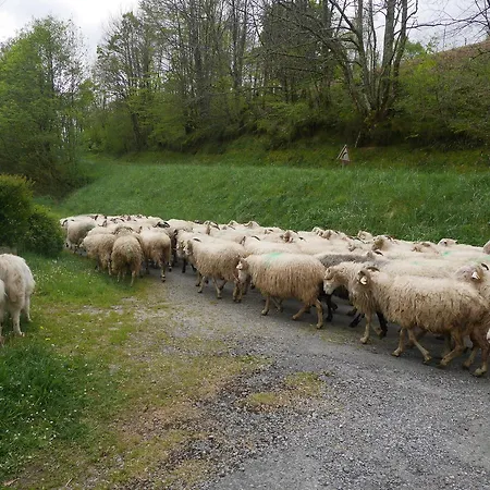 Bed and Breakfast Les 3 Baudets 3*