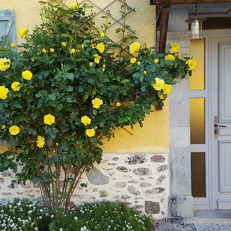 Les 3 Baudets Bed and Breakfast