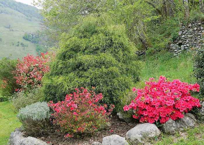 Les 3 Baudets Отель типа 