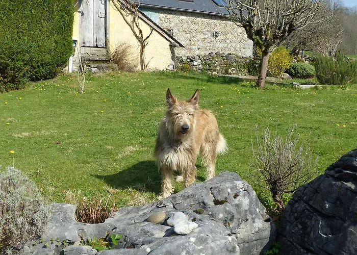 Bed & Breakfast Les 3 Baudets Issor