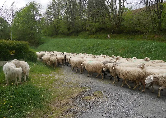 Bed & Breakfast Les 3 Baudets 3*